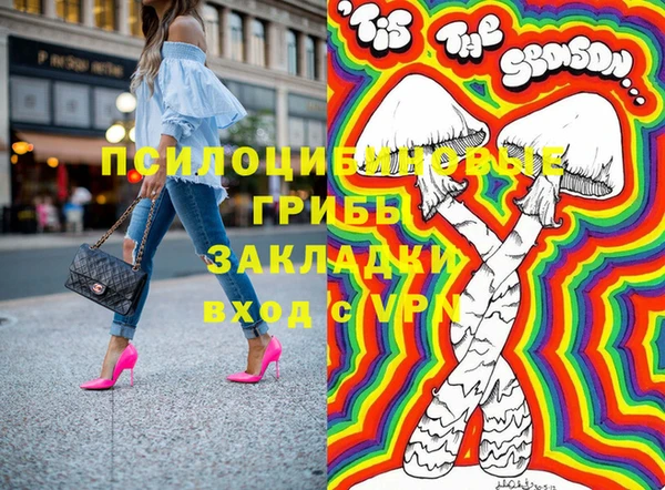 стаф Алексин
