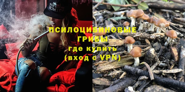 дурь Абаза