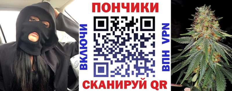 Бошки Шишки план  Вологда 